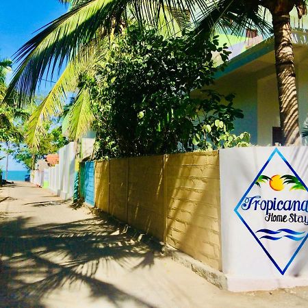 Tropicana Home Stay Baía de Arugam Exterior foto