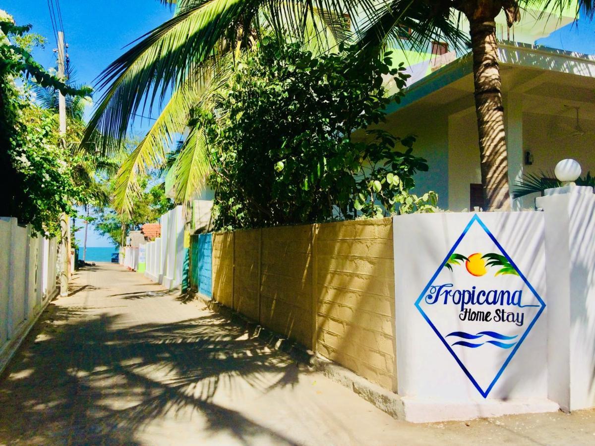 Tropicana Home Stay Baía de Arugam Exterior foto