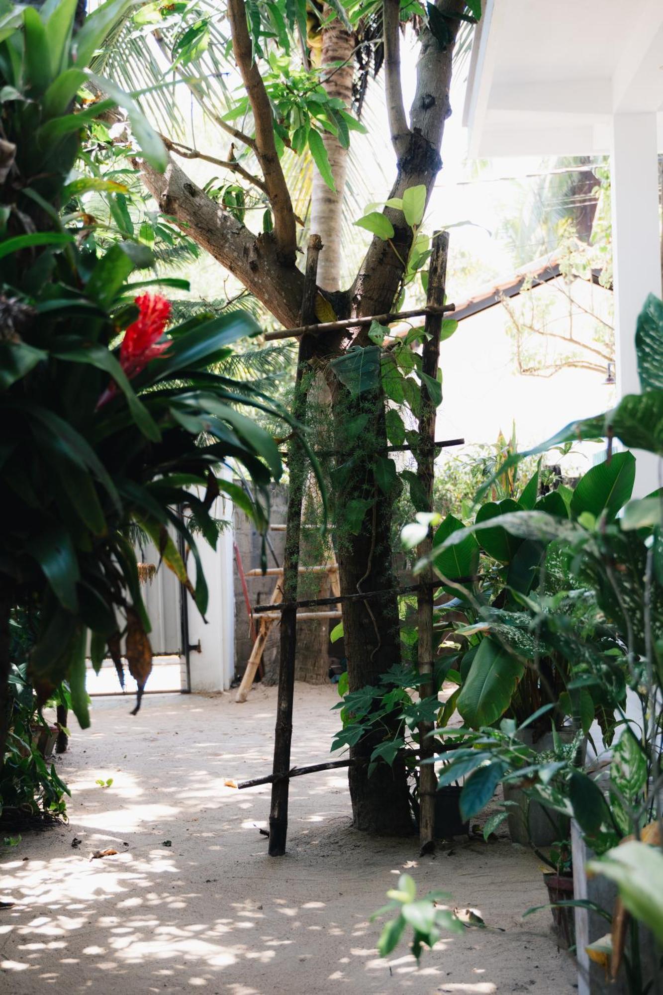 Tropicana Home Stay Baía de Arugam Exterior foto