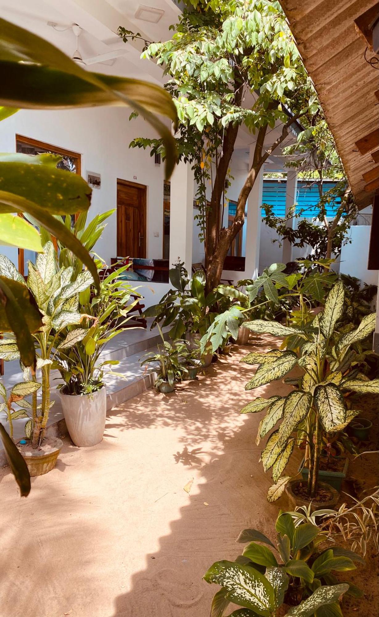Tropicana Home Stay Baía de Arugam Exterior foto